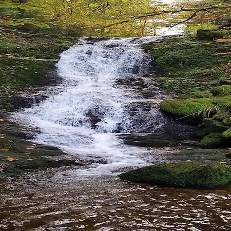 With Hill Views シャレー