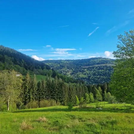 With Hill Views Ventron