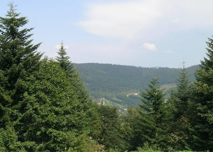 With Hill Views * Ventron