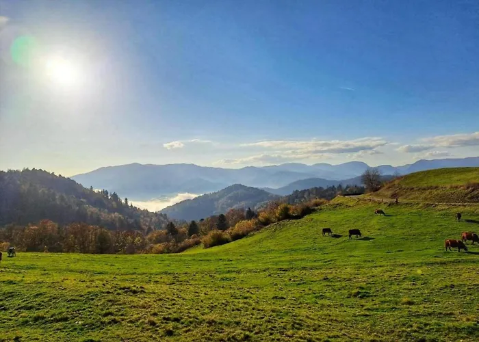 With Hill Views Horská chata *