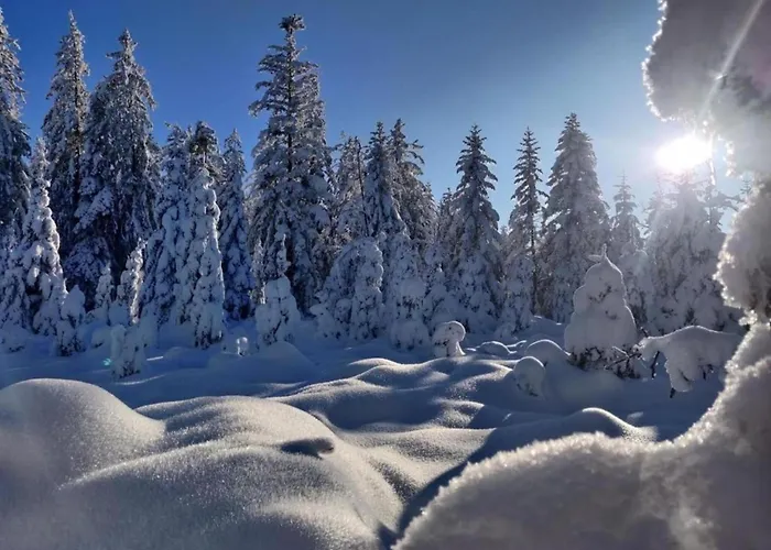 With Hill Views * Ventron