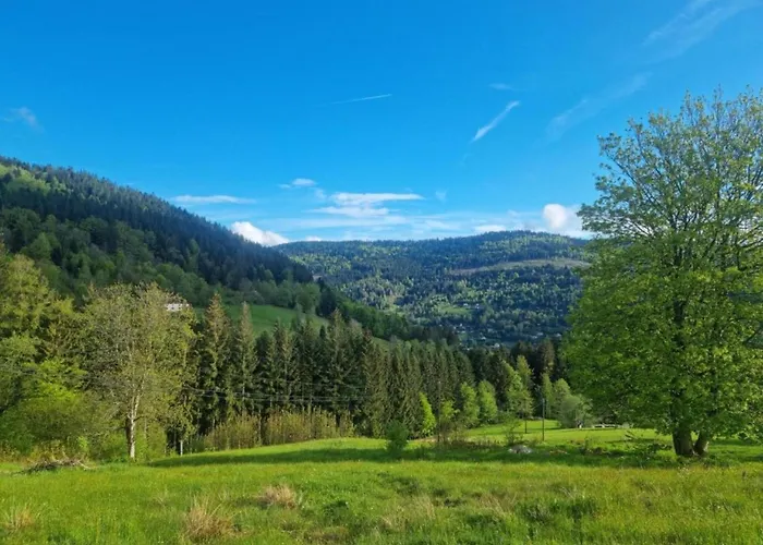 With Hill Views Ventron