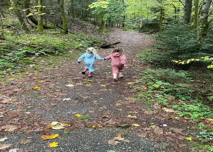 Chalet With Hill Views Ventron