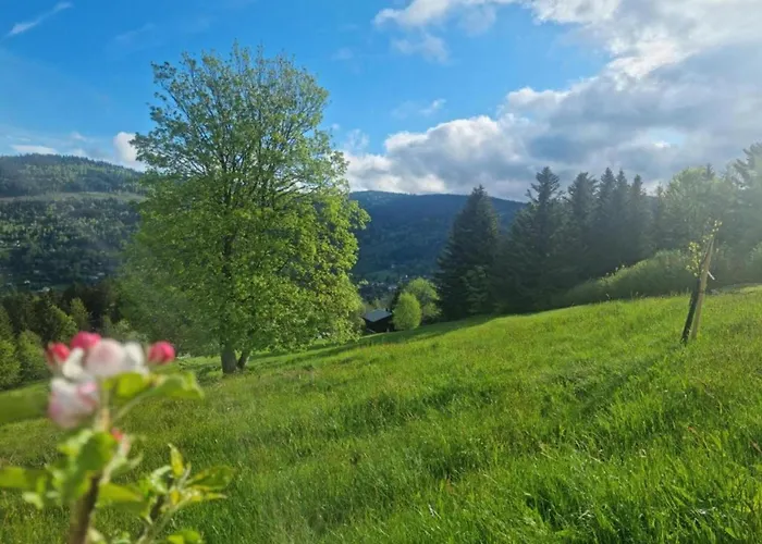 With Hill Views Ventron