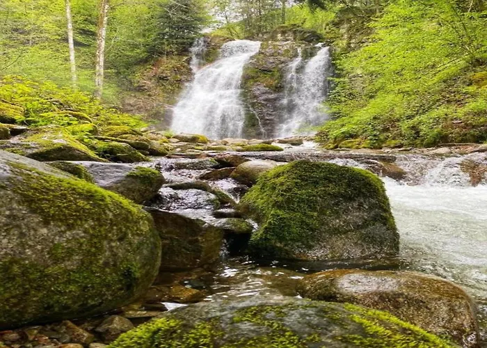 With Hill Views Ventron